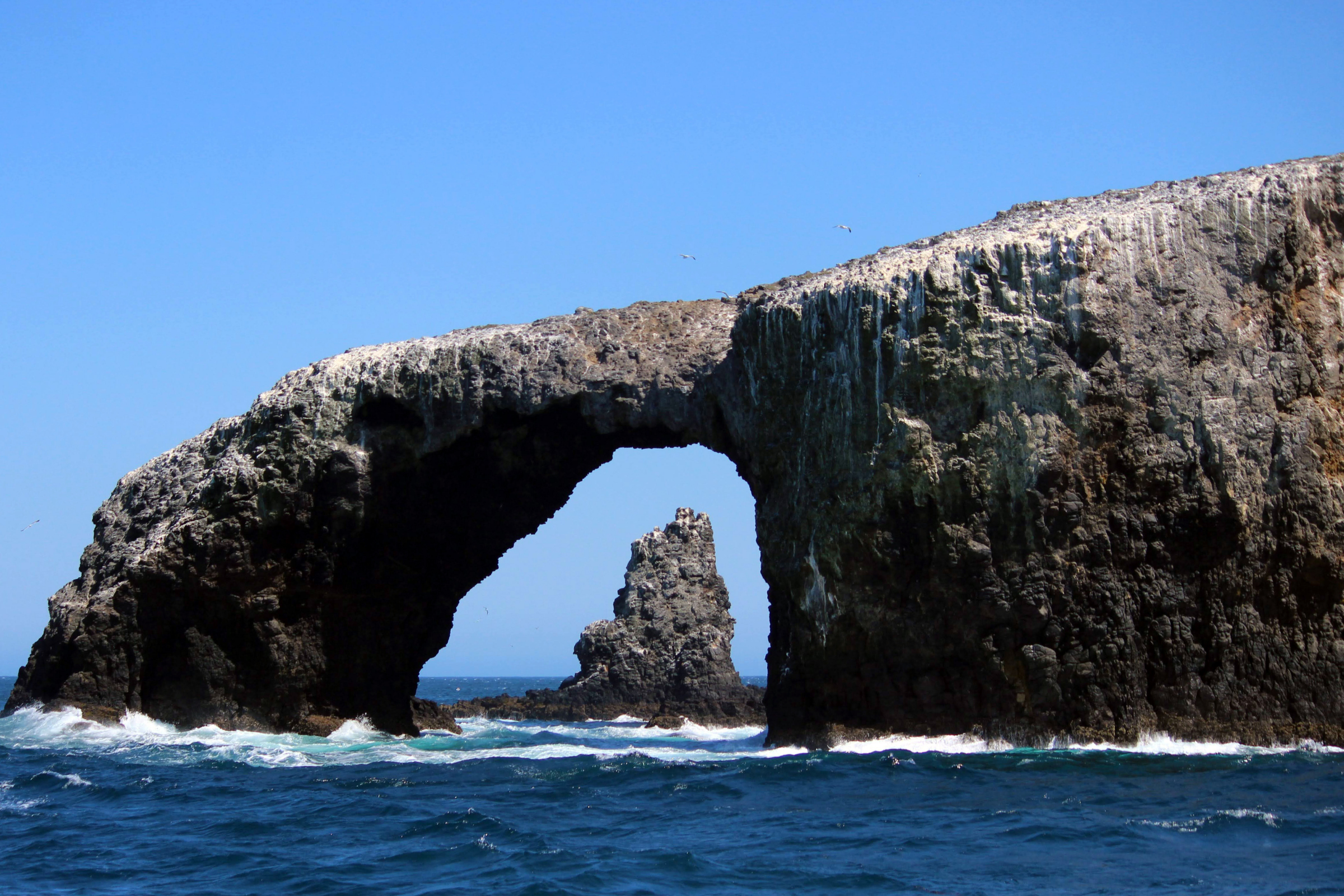 santa rosa island, california (2).webp